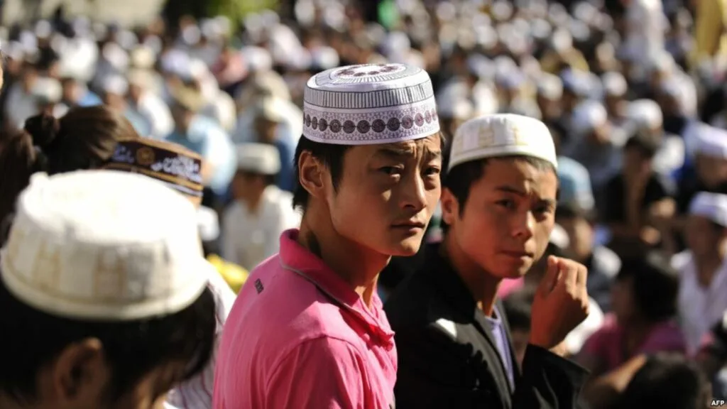 د. إياد قنيبي: الضجة التي أحدثتها السفارة الصينية عن المسلمات الأويغور